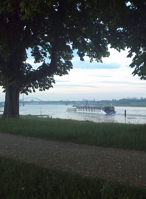 Quelle meiner Inspiration: die Landschaft am Neusser Rheindamm