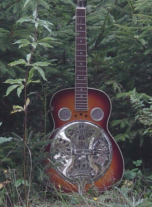 Foto einer ungewöhnlichen Resonator-Gitarre