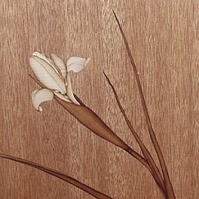 Holzbild Weiße Iris