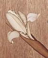Irisblüte - A. Hertel Irisblüte - A. Hertel